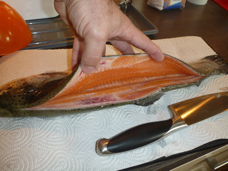 Entlang der Rückenflosse ein gerader Schnitt vom Kopf bis zum Schwanzende