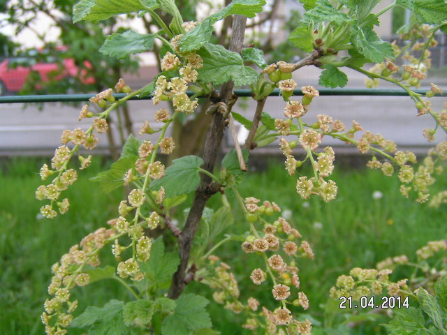 PICT0022.JPG