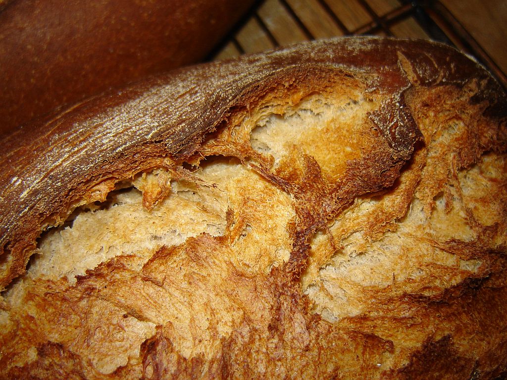 Rustikales Bauernbrot02.jpg