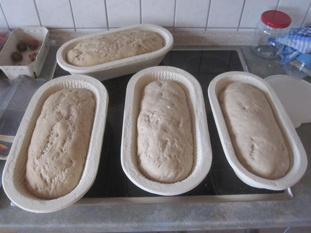 Brote im Gärkörbchen.jpg