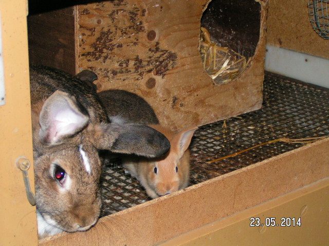 PICT0026.JPG