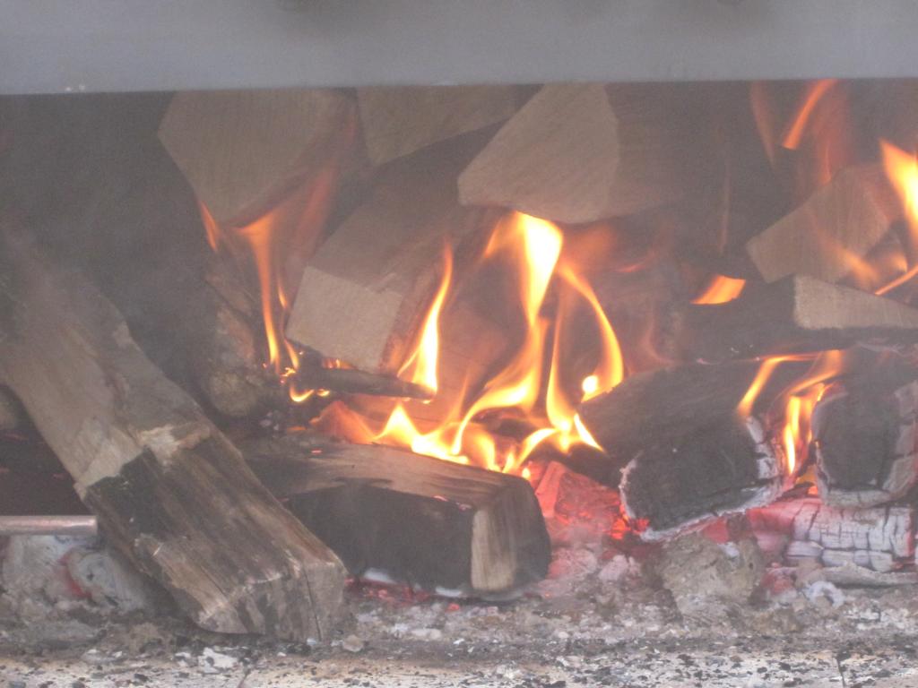 Spanferkel Anfeuerung 10.30 Uhr.jpg