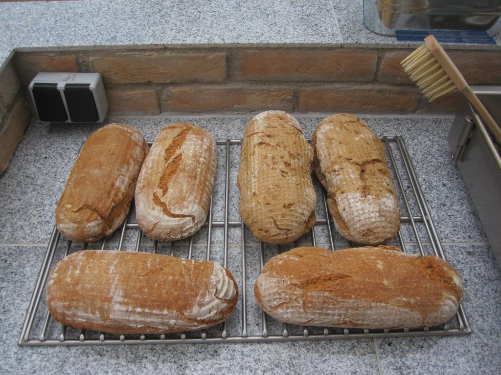 Brote Sonnenblumen Walnüsse Kartoffel.jpg