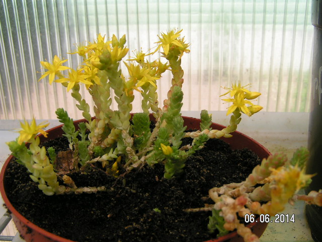 PICT0025.JPG