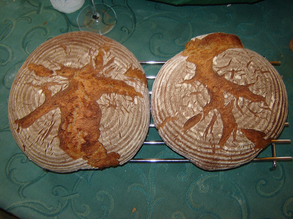 SBO-Tag-06.jpg