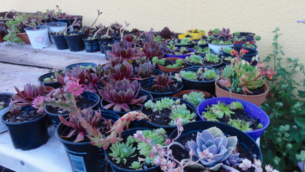 Test (1).jpg
