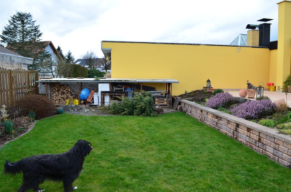 Noch vor wenigen Wochen schien die Welt in Ordnung.