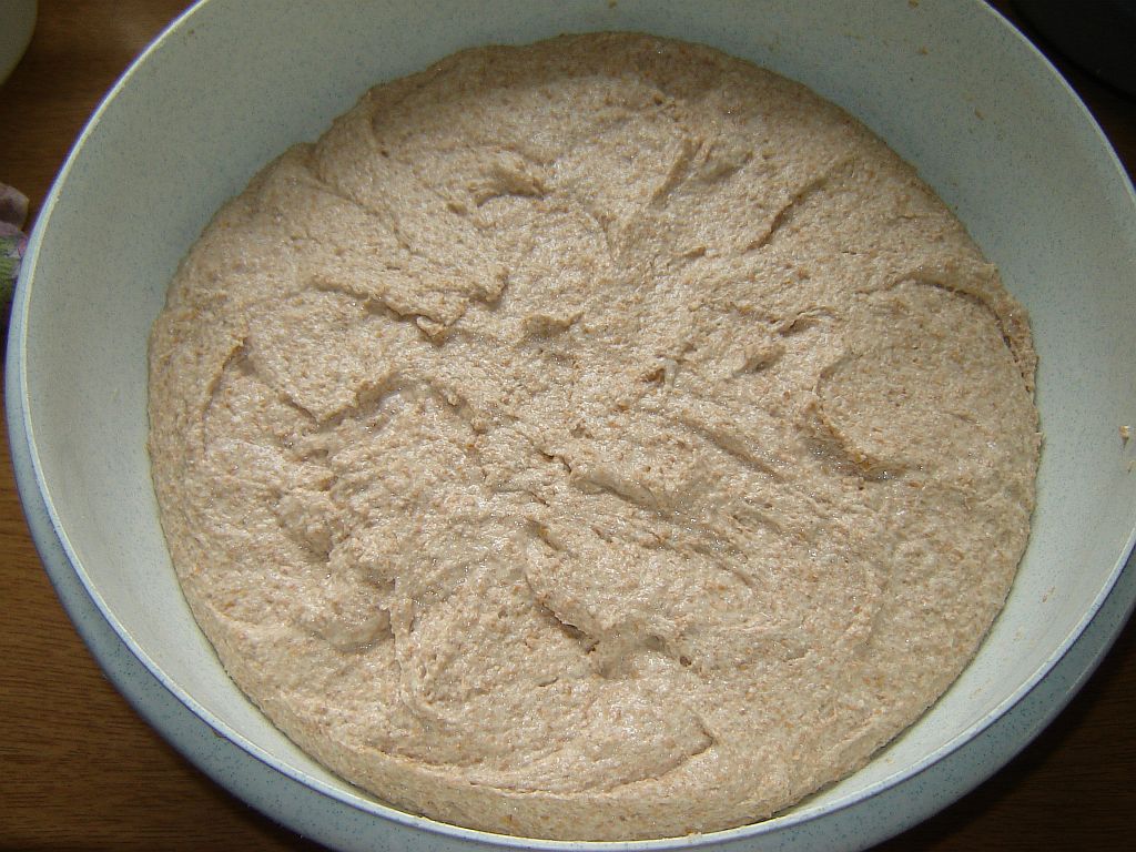 Dinkelvollkorn05.jpg