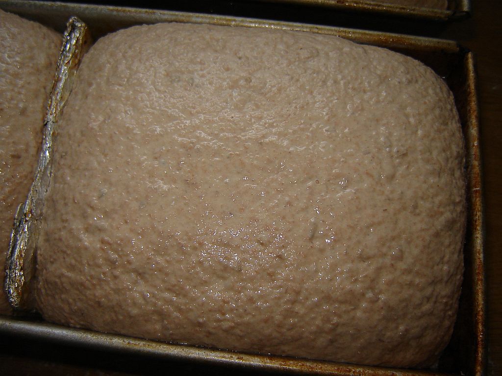 Dinkelvollkorn07.jpg