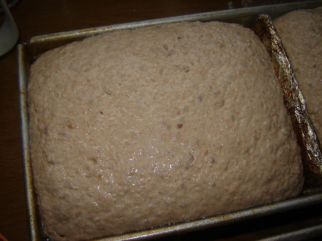 Dinkelvollkorn08.jpg