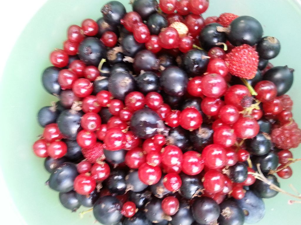 k-20140701_200854.jpg