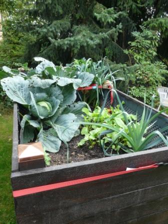 Hochbeet1.JPG