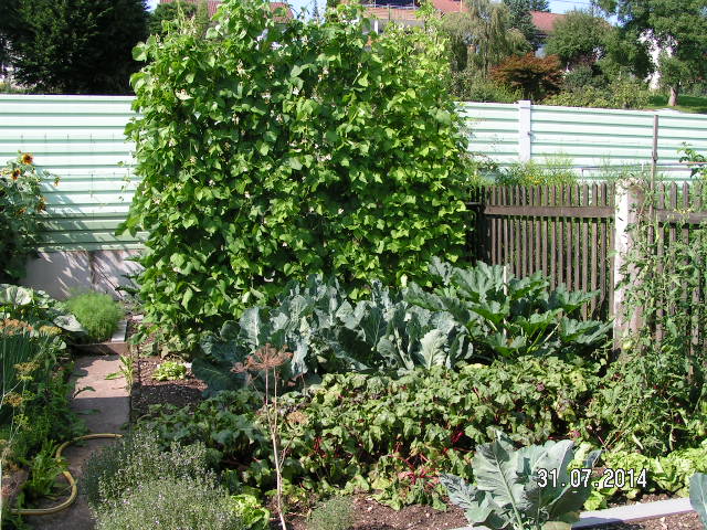 Garten.JPG