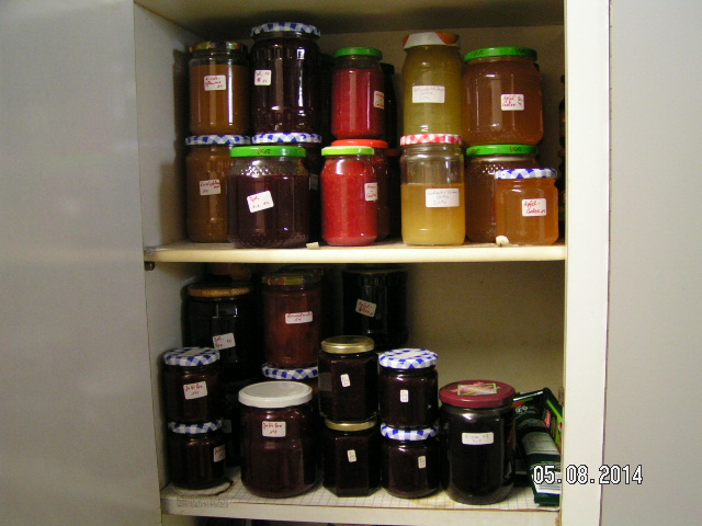 PICT0029.JPG