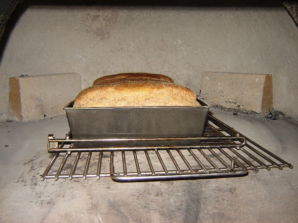 Dinkelvollkorn18.jpg