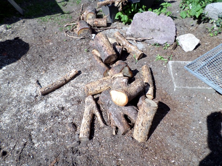 wurzelstücke.jpg