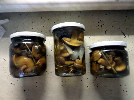 pilze süss sauer.jpg