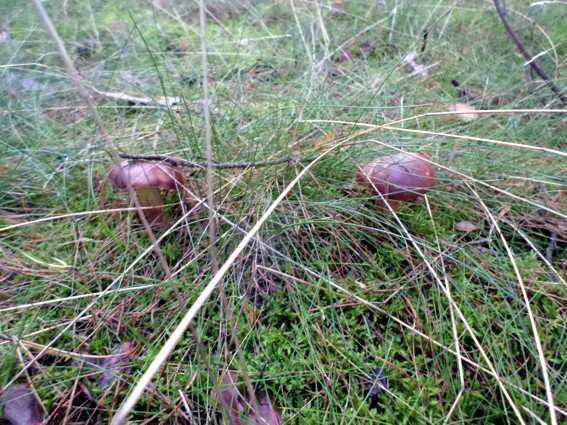 Wie zwei verstrittene Geschwister halten sie Abstand voneinander.
