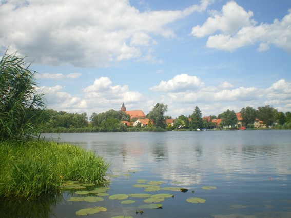 Einer meiner Lieblingsangelplätze. Da ist das Fangergebnis zweitrangig.