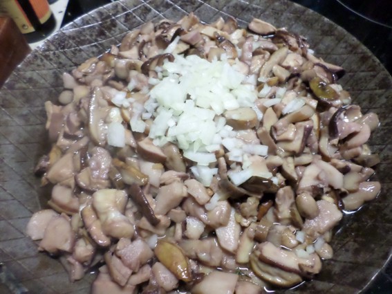 mit zwiebeln.jpg