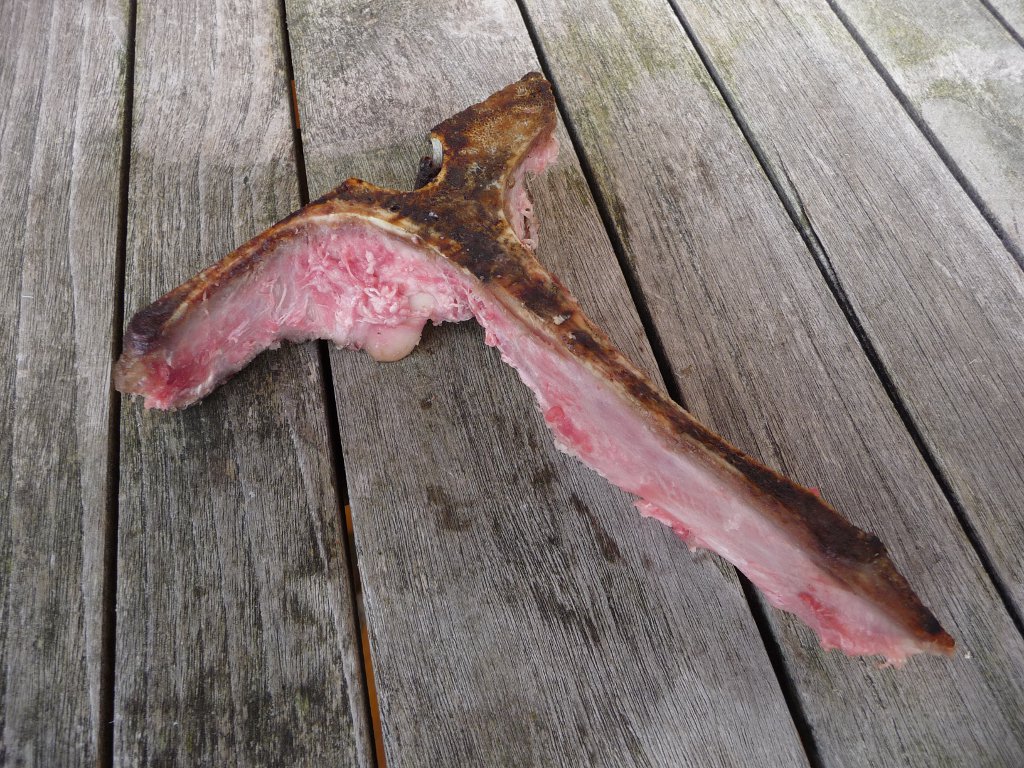 20140829_03.JPG