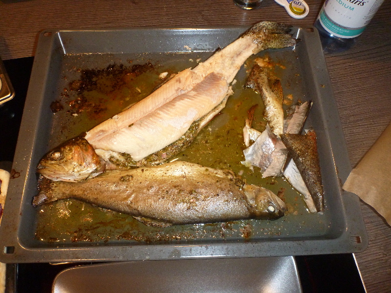 Lecker Forell'sche