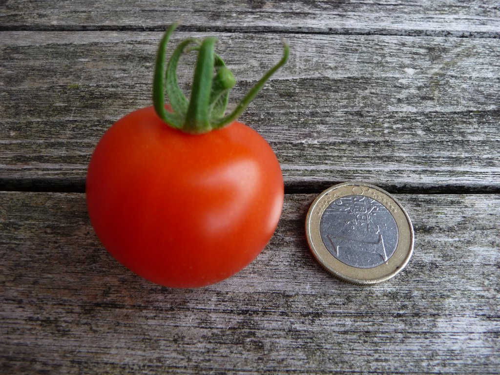 20140913_02.JPG
