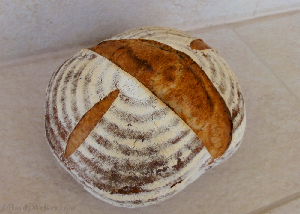 Bierbrot mit kalter Gare 5.jpg