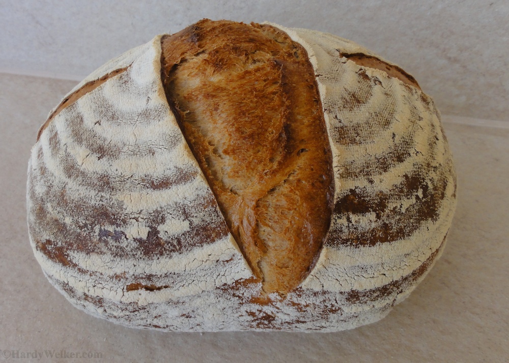 Bierbrot mit kalter Gare 4.jpg
