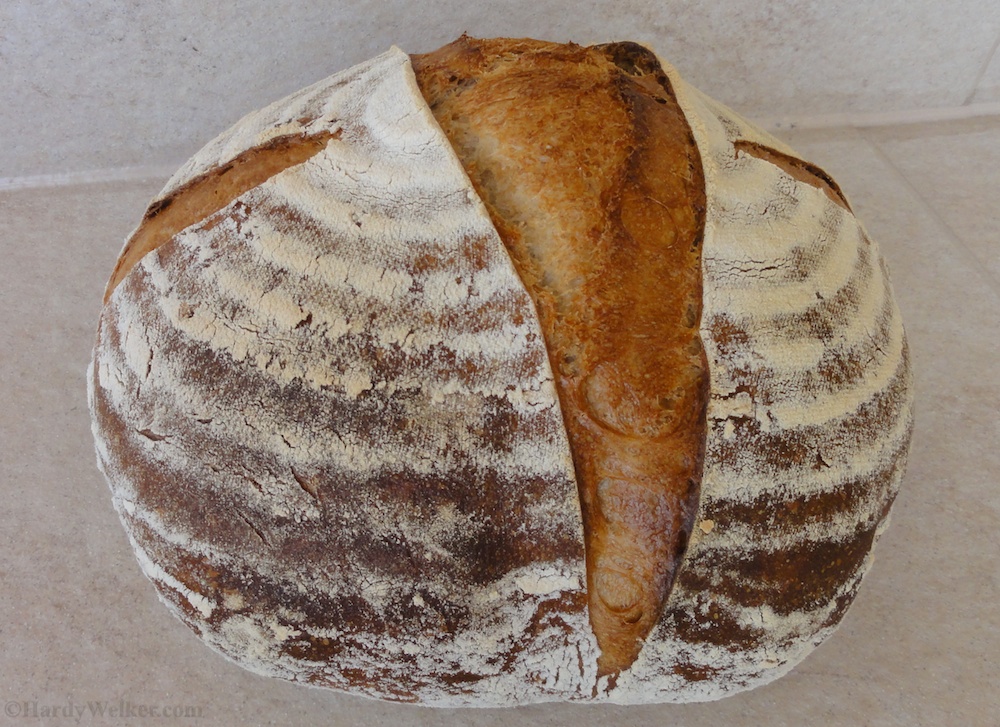 Bierbrot mit kalter Gare 7.jpg
