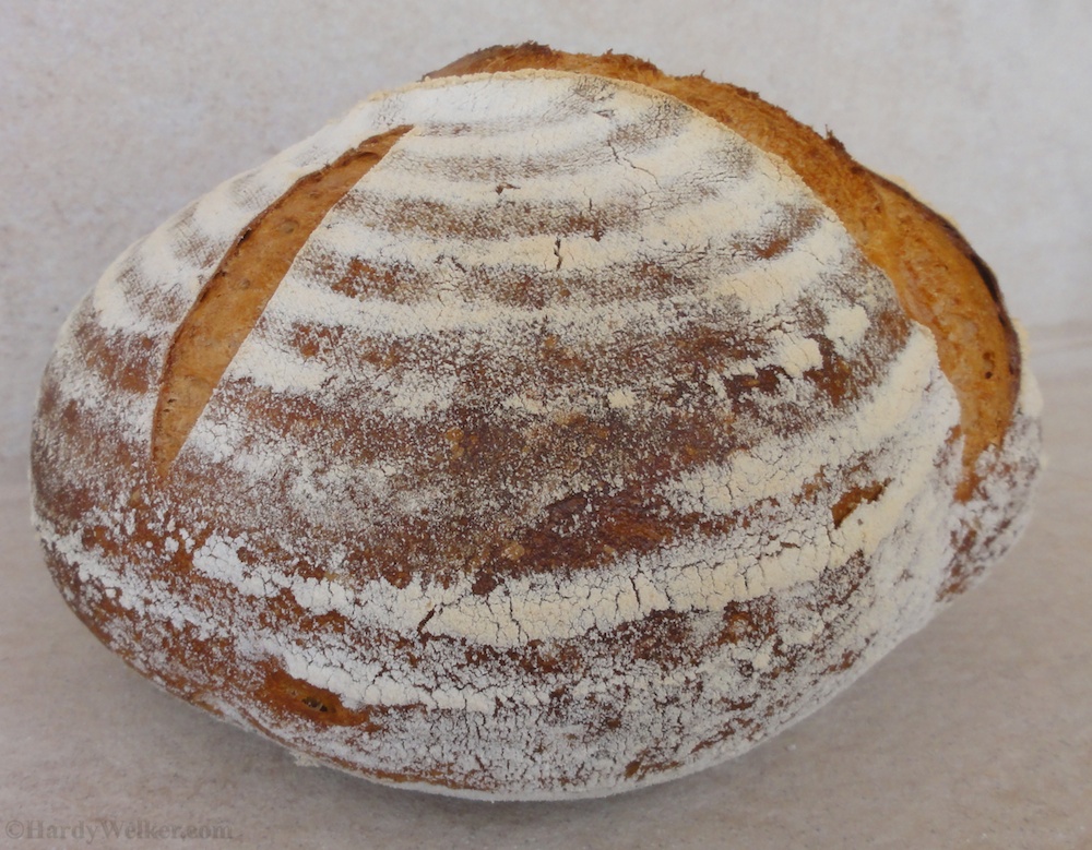 Bierbrot mit kalter Gare 6.jpg