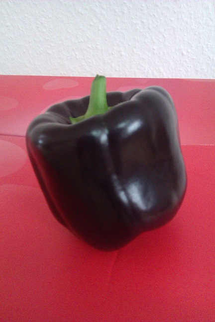 IMAG0306.jpg