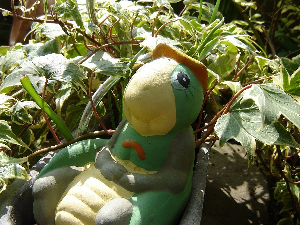 Schildkröte_PC-Version.jpg