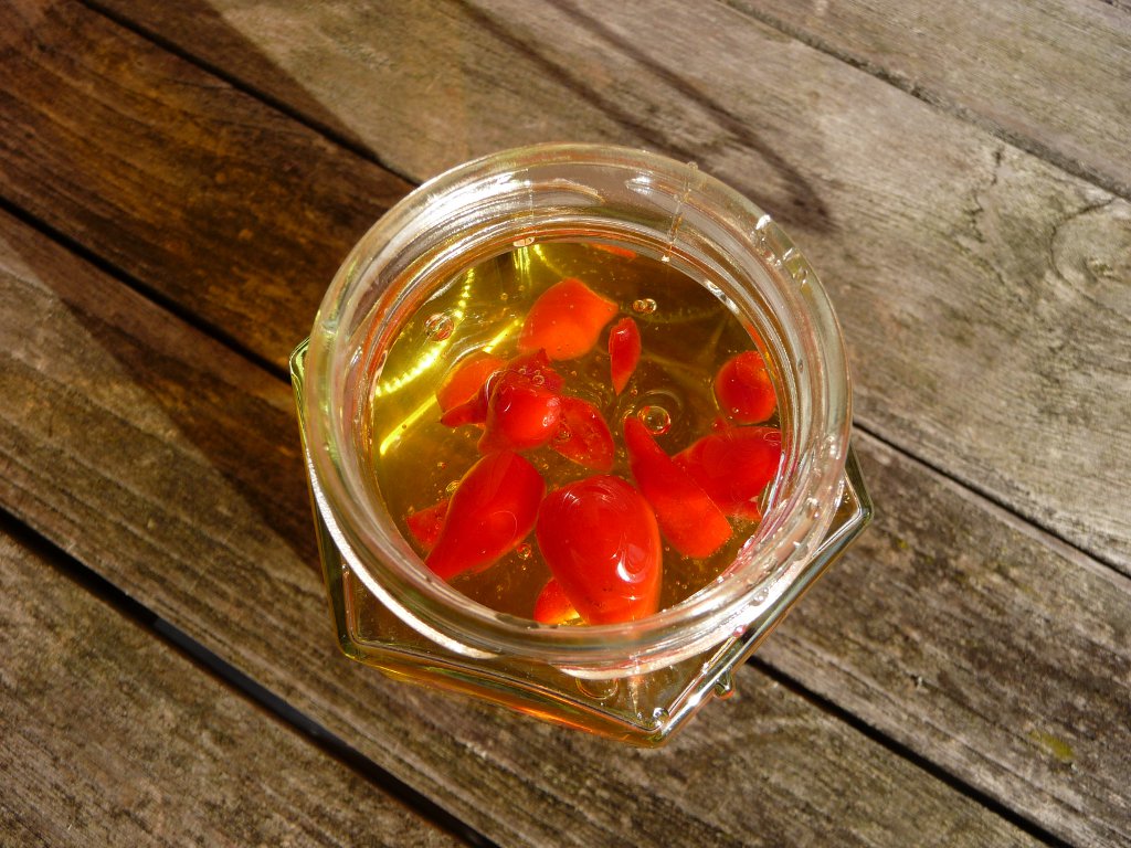 20140926_01.JPG