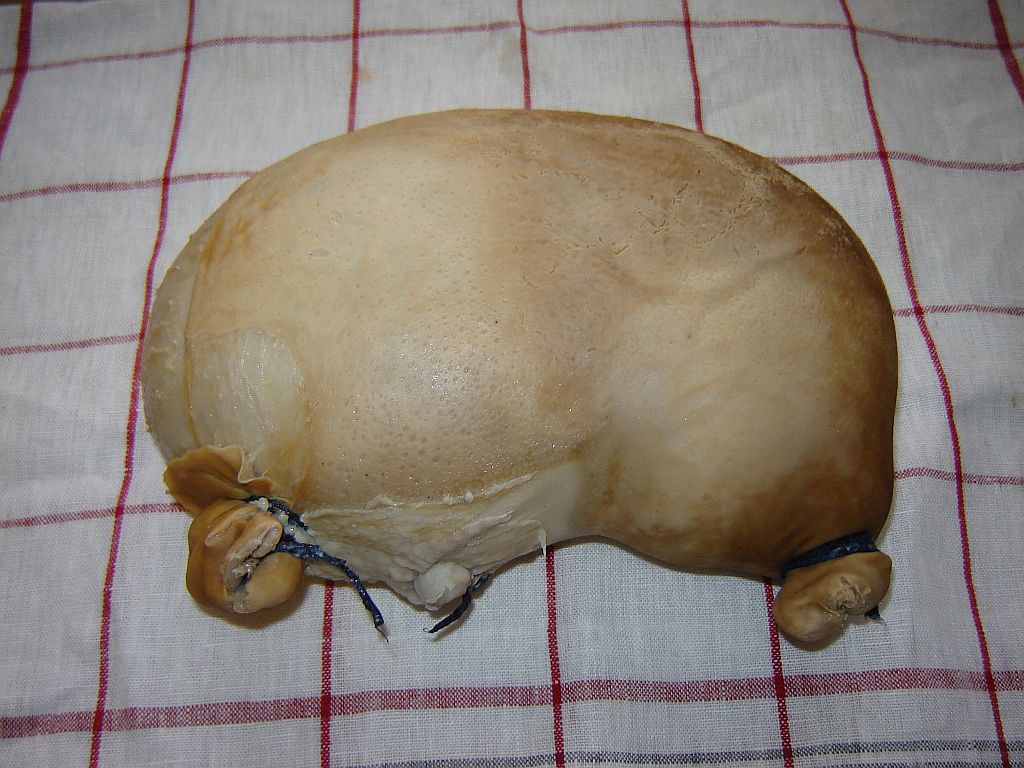 Saumagen01.jpg