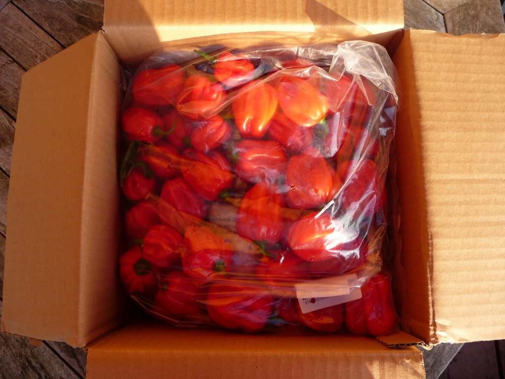20141001_01.JPG