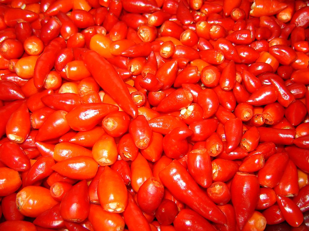 Chiliverwertung_2014-02.jpg