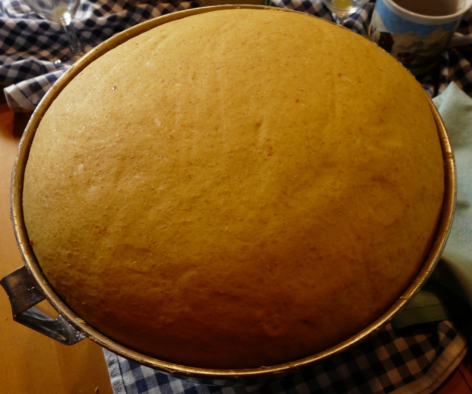 kürbisstuten3.JPG