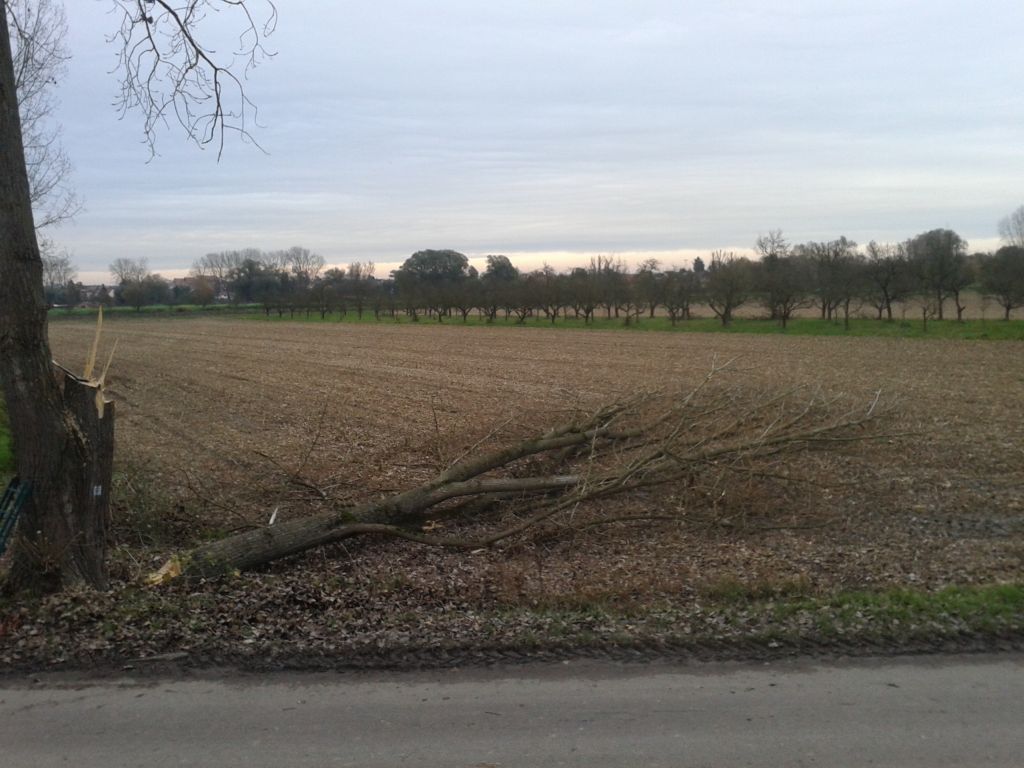 da liegt das Monster....jpg