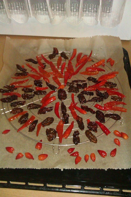 IMAG0344.jpg
