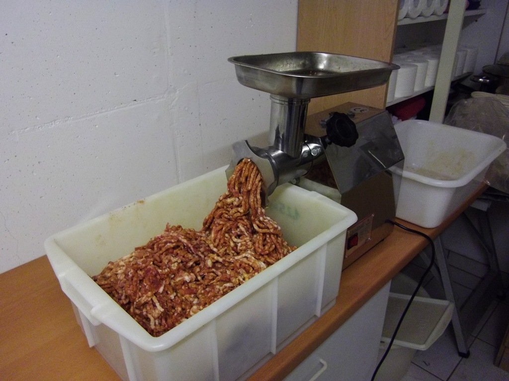 Der "Kleine" ist wirklich wie ein Wolf