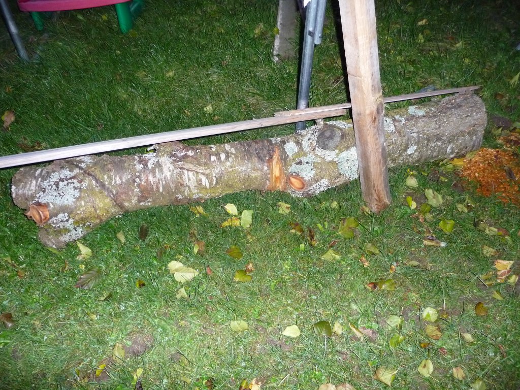 20141122_01.JPG