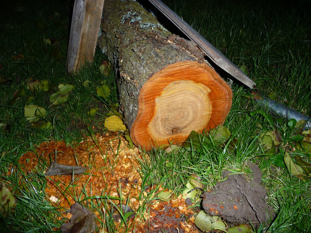 20141122_02.JPG