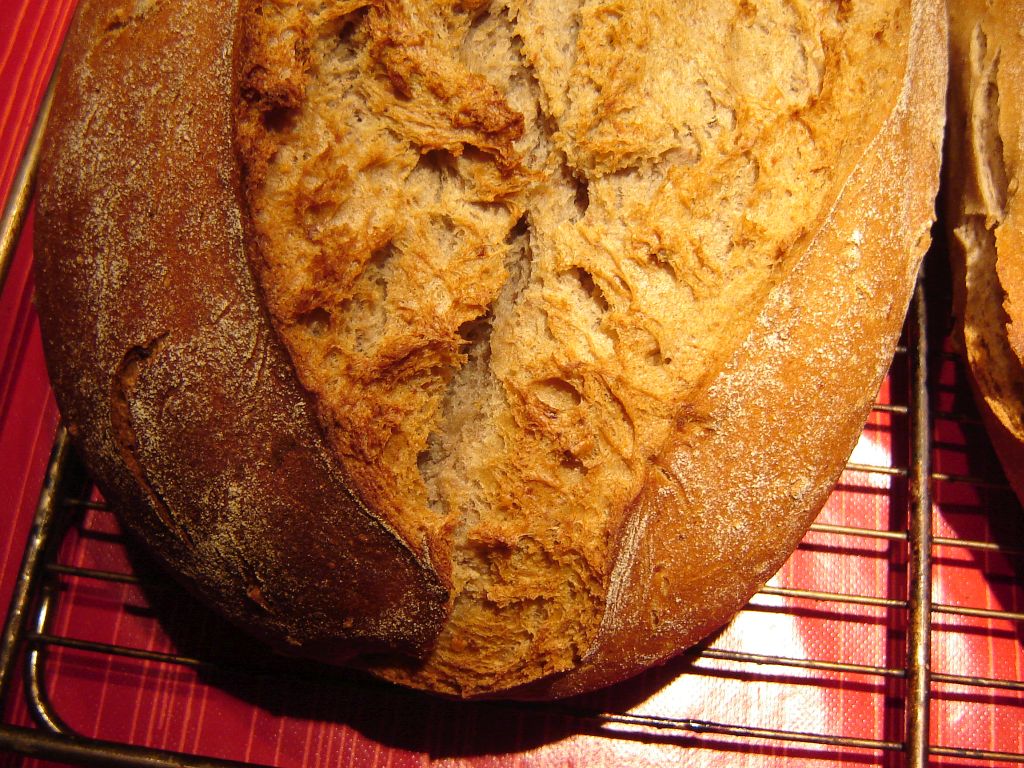 Kartoffel-Walnuss-Brot07.jpg