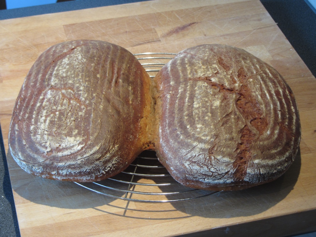 IMG_7810_1024.jpg