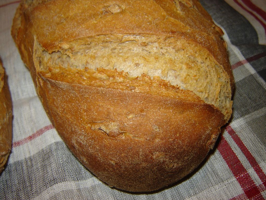 SuchBuchBrot36_04.jpg