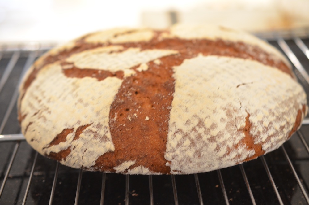 Süßkartoffel 3.jpg
