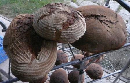 weihnachtsbacken2014_2.JPG