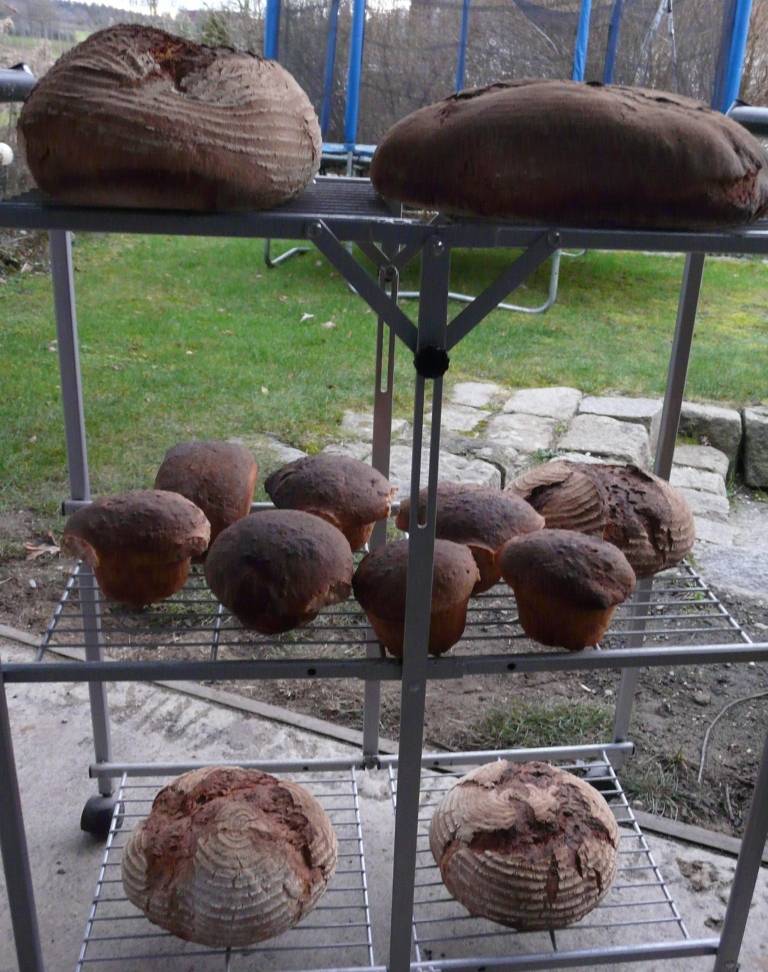 weihnachtsbacken2014_3.JPG
