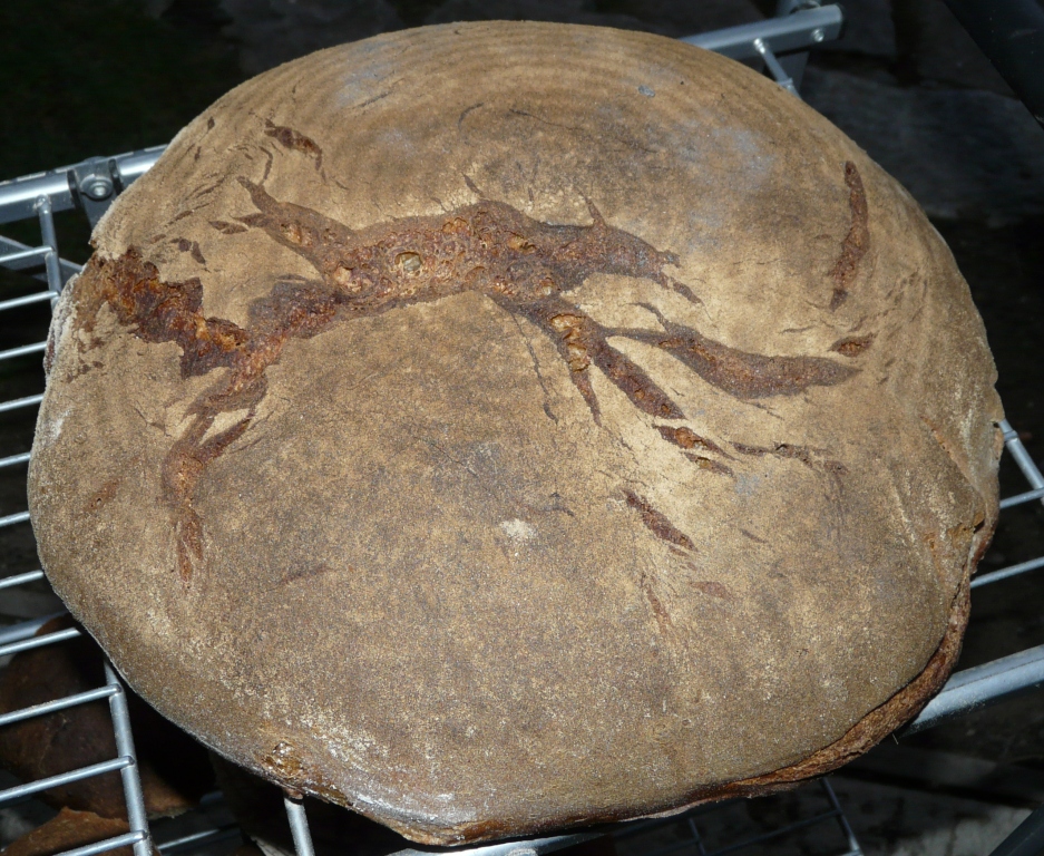 weihnachtsbacken2014_7 Baurekrume.JPG